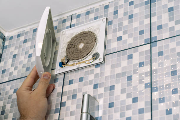 Best Air Duct Mold Removal  in Marshall, IL